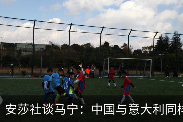 安莎社谈马宁：中国与意大利同样无缘世界杯，这位裁判被球迷追捧